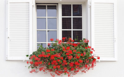 Comment choisir le type de volets qui convient le mieux à ma maison ?