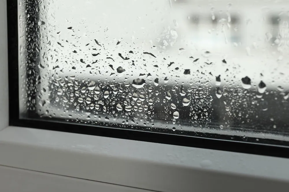fenetre-condensation fenêtre condensation